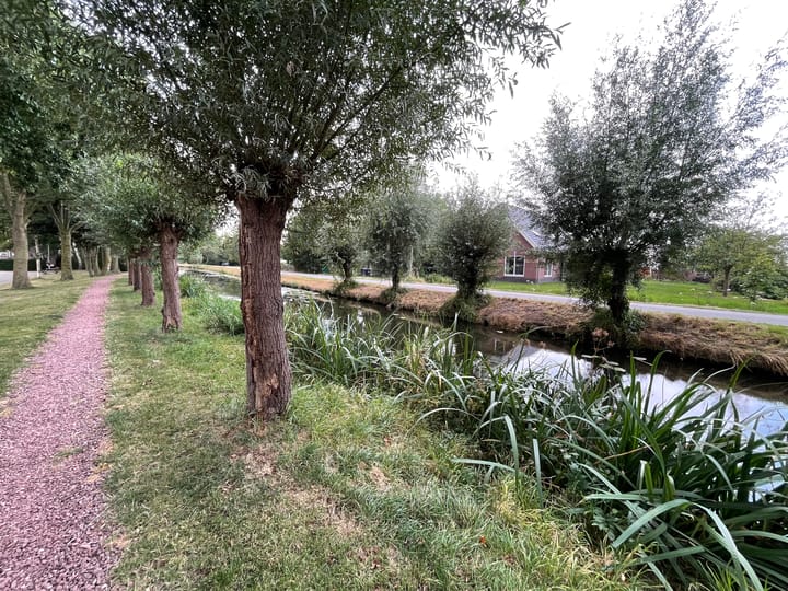 Foto 41 van Burgemeester de Herderplantsoen 68