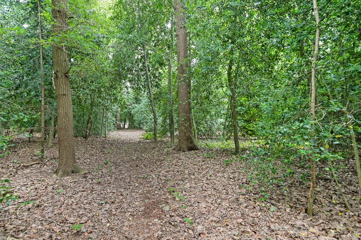 Foto 41 van Bultweg 9