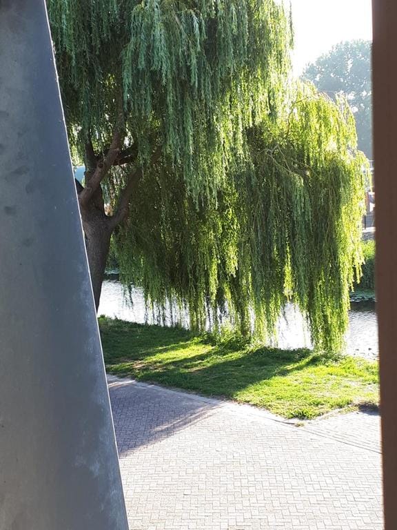 Foto 24 van de Ruijterkade 15