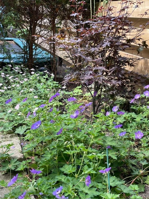 Foto 13 van Cornelis Zillesenlaan 27