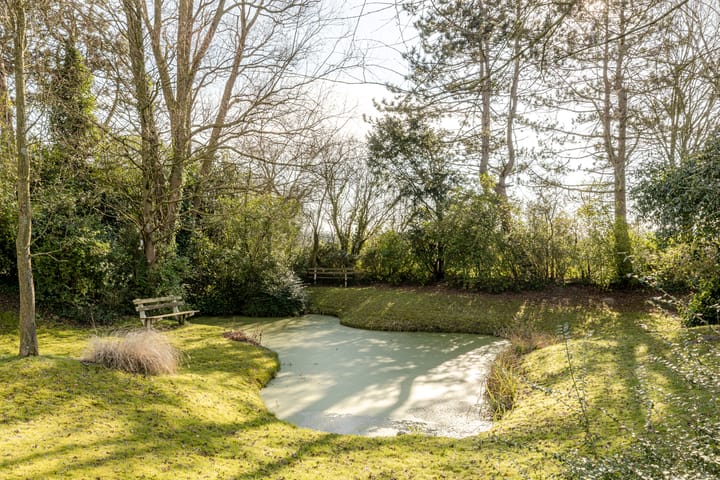 Foto 42 van Molendijk 24-A