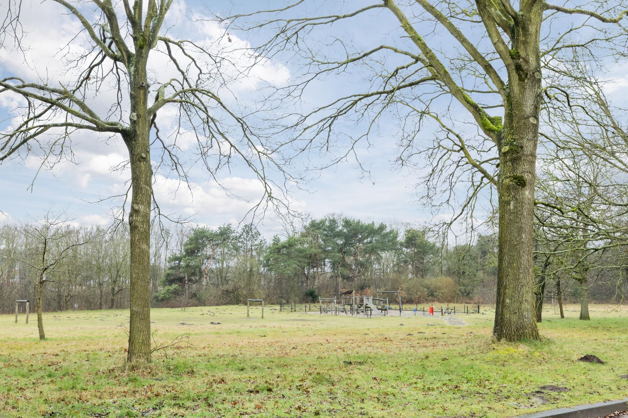 Foto 36 van Sumatralaan 6