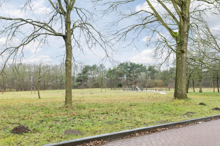 Foto 37 van Sumatralaan 6