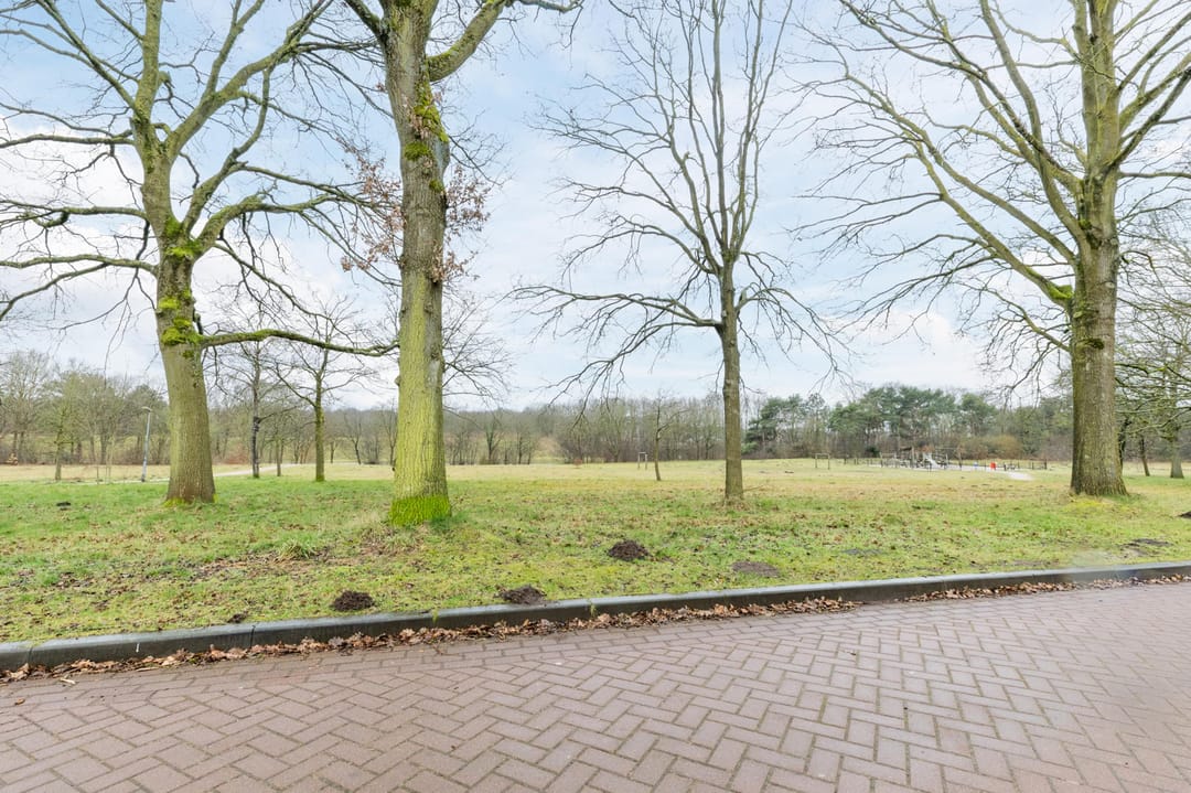 Foto 38 van Sumatralaan 6