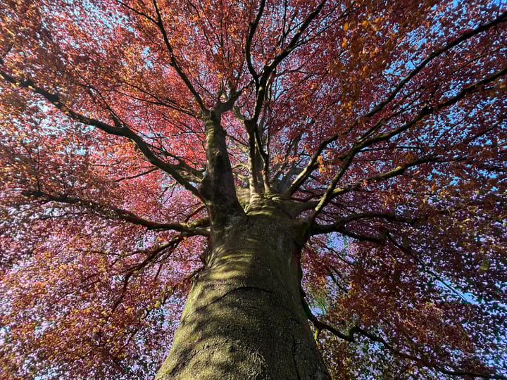 Foto 69 van Stationsweg 10