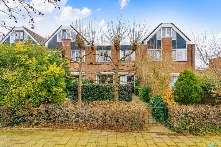 Foto 1 van Delta 166