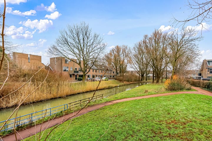 Foto 42 van Delta 166