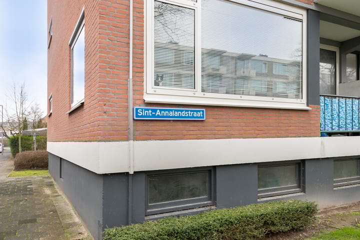 Foto 29 van Sint-Annalandstraat 101