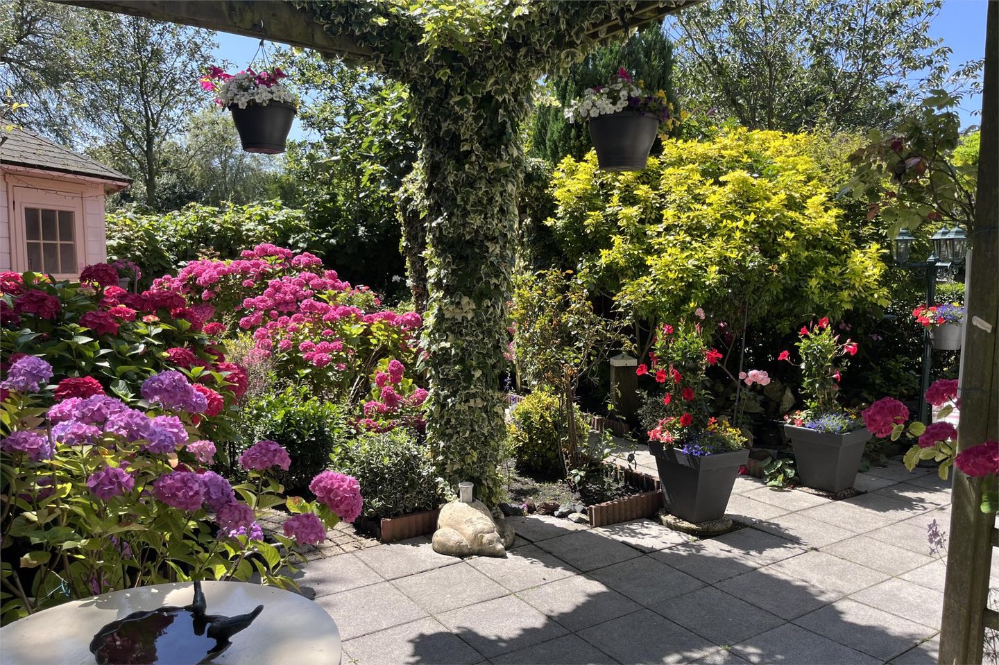 Foto 64 van Neptunus 15