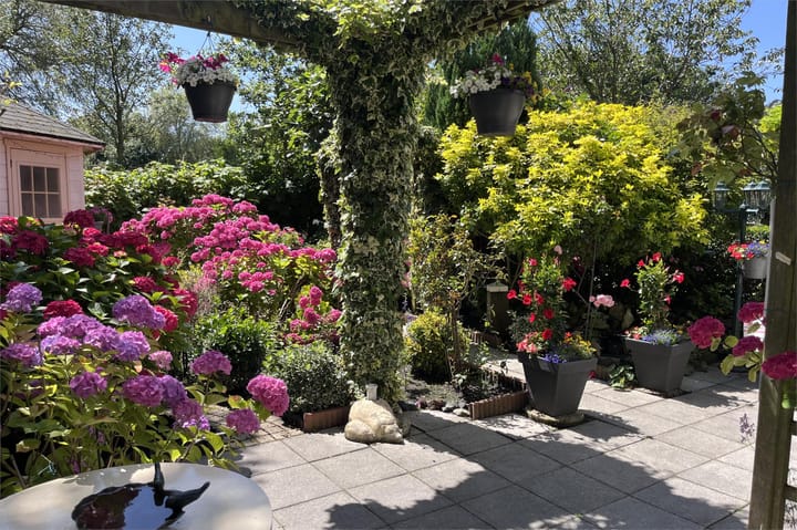 Foto 64 van Neptunus 15