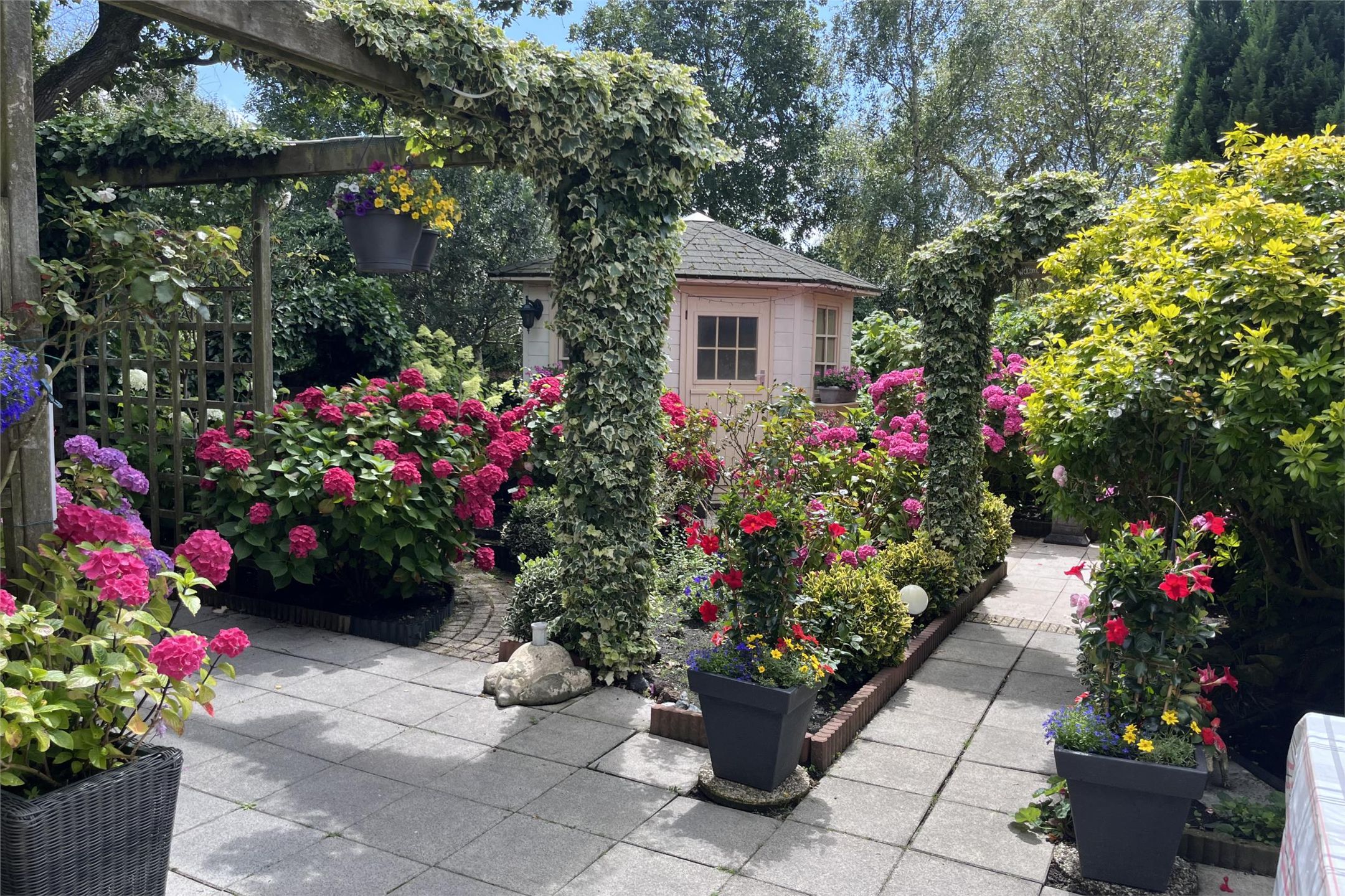 Foto 66 van Neptunus 15