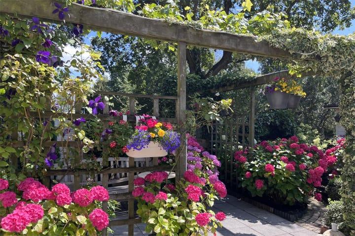 Foto 69 van Neptunus 15