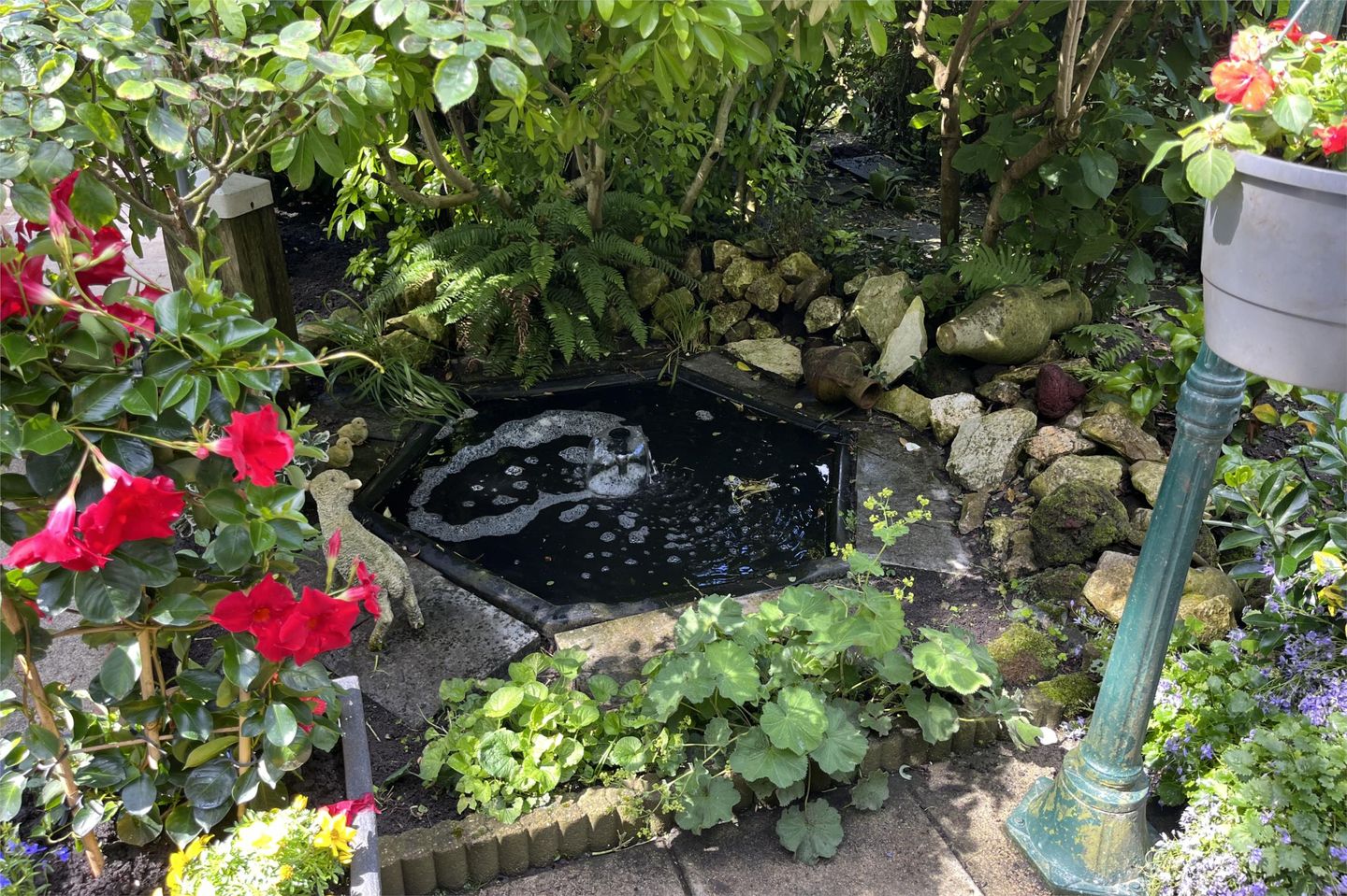 Foto 70 van Neptunus 15