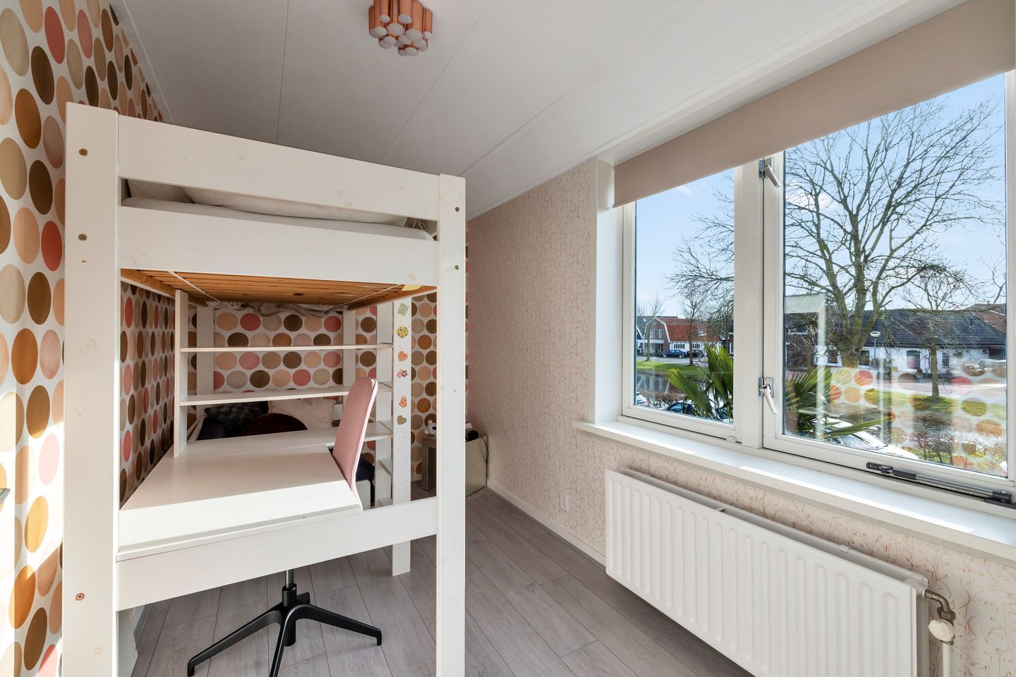 Foto 20 van C. de Leeuwstraat 10