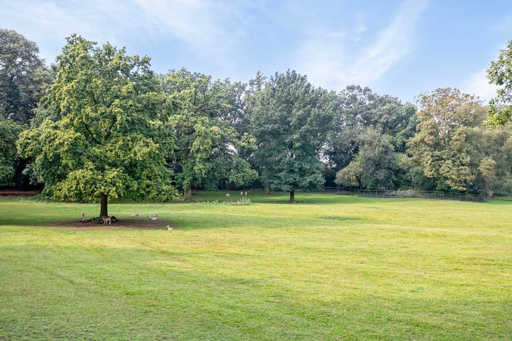 Foto 42 van Wilhelminastraat 41