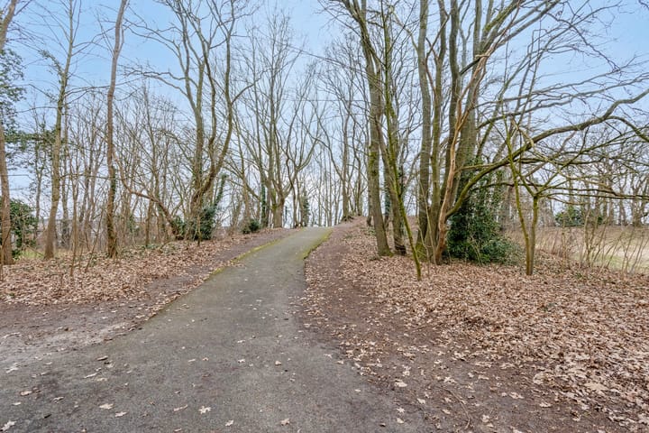 Foto 40 van Aloysiusplein 11