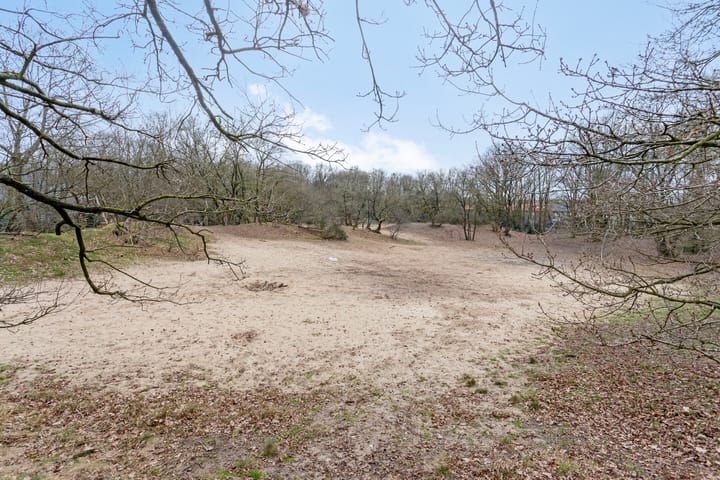 Foto 41 van Aloysiusplein 11