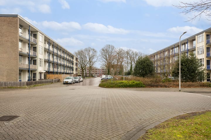 Photo 22 of De Reiger 134