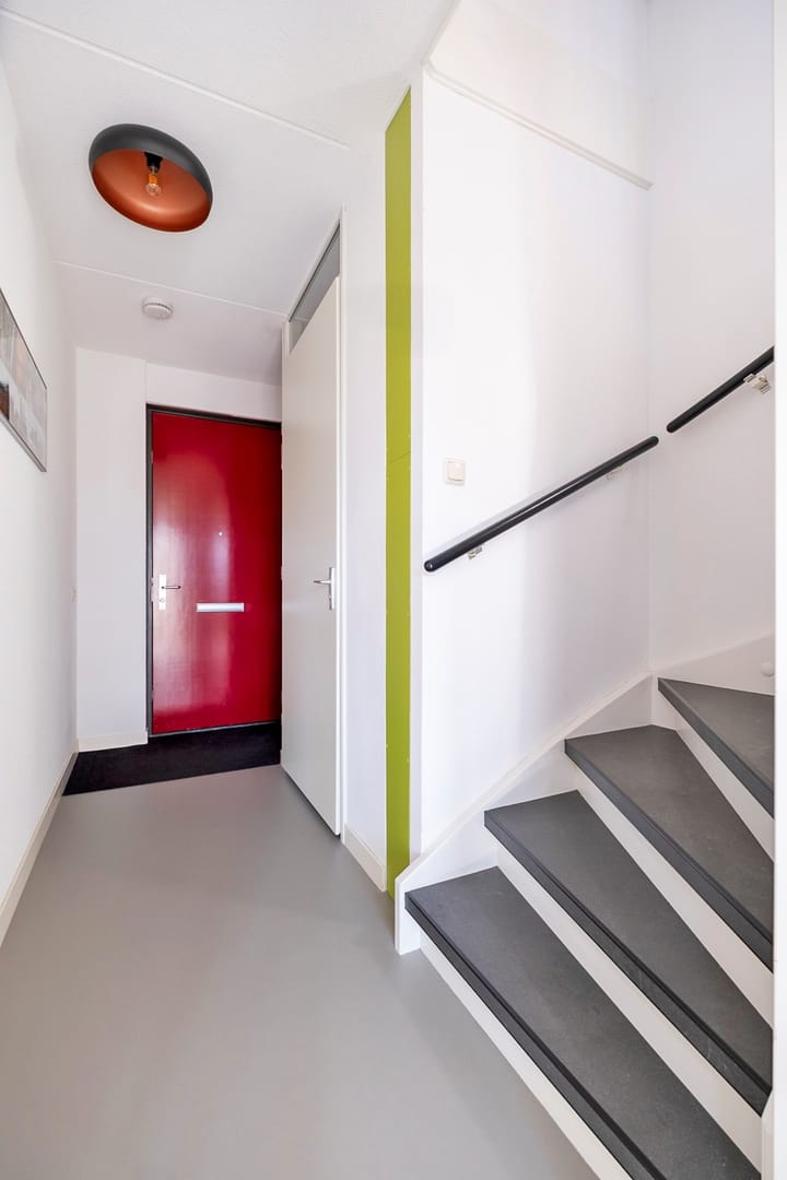 Foto 7 van Bosbraam 4