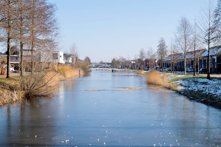 Foto 42 van Bosbraam 4