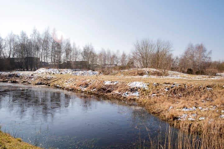 Foto 43 van Bosbraam 4