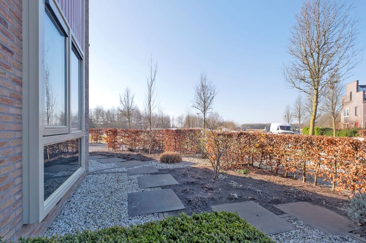 Foto 45 van Bosbraam 4