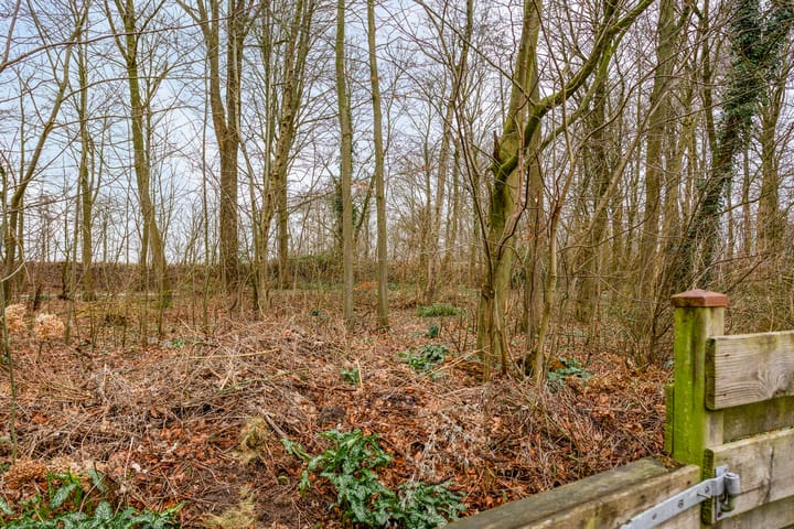 Foto 40 van de Meute 50