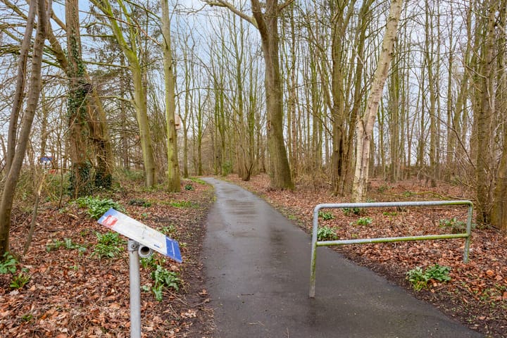 Foto 45 van de Meute 50