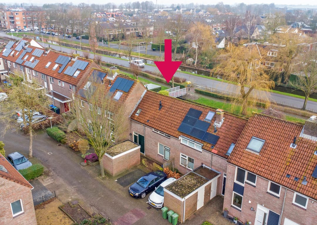 Foto 2 van Pinksterbloem 28