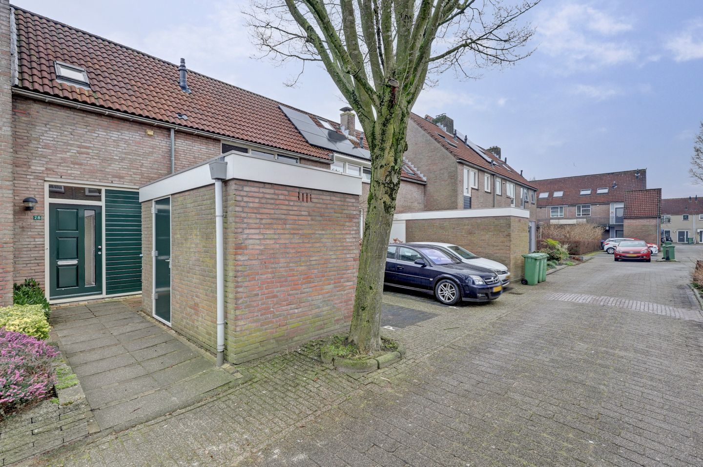 Foto 4 van Pinksterbloem 28