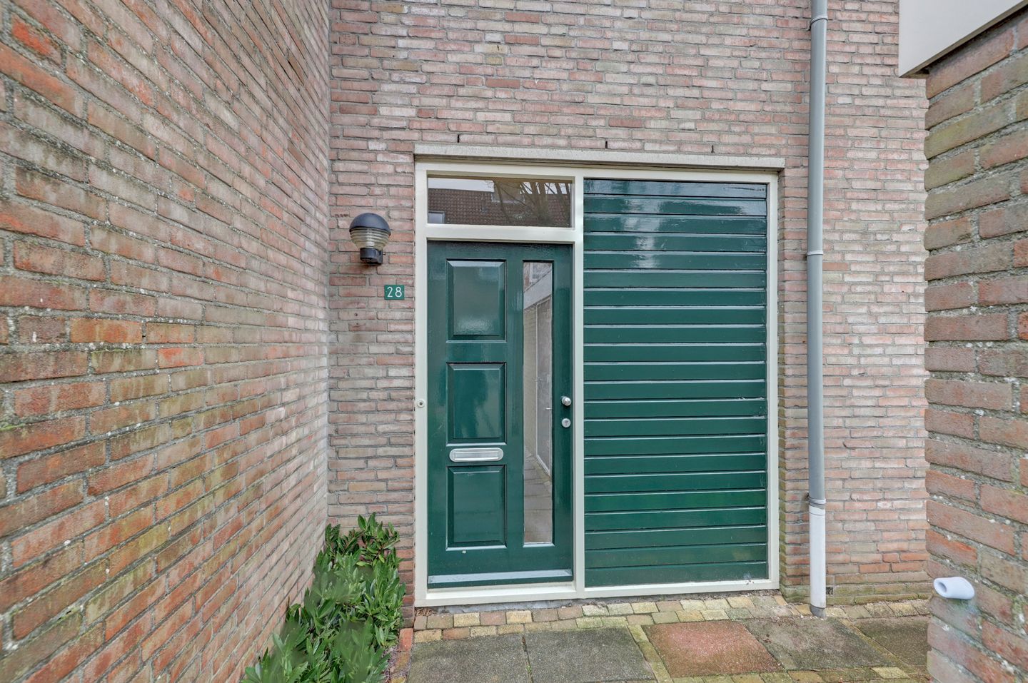 Foto 5 van Pinksterbloem 28