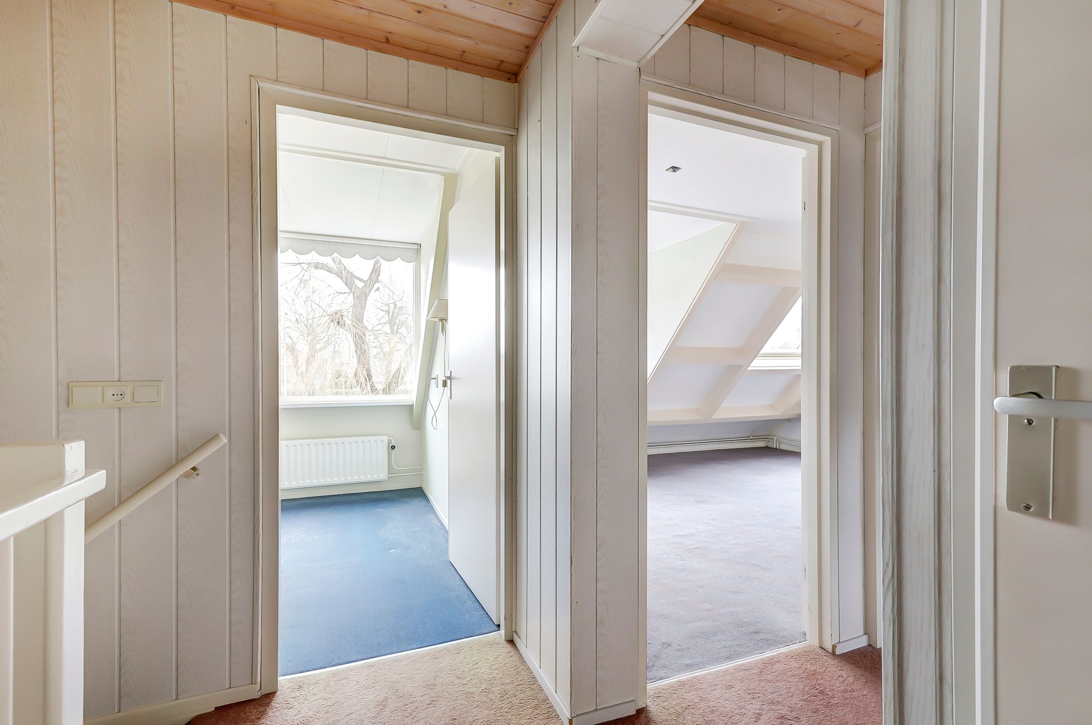 Foto 18 van Pinksterbloem 28