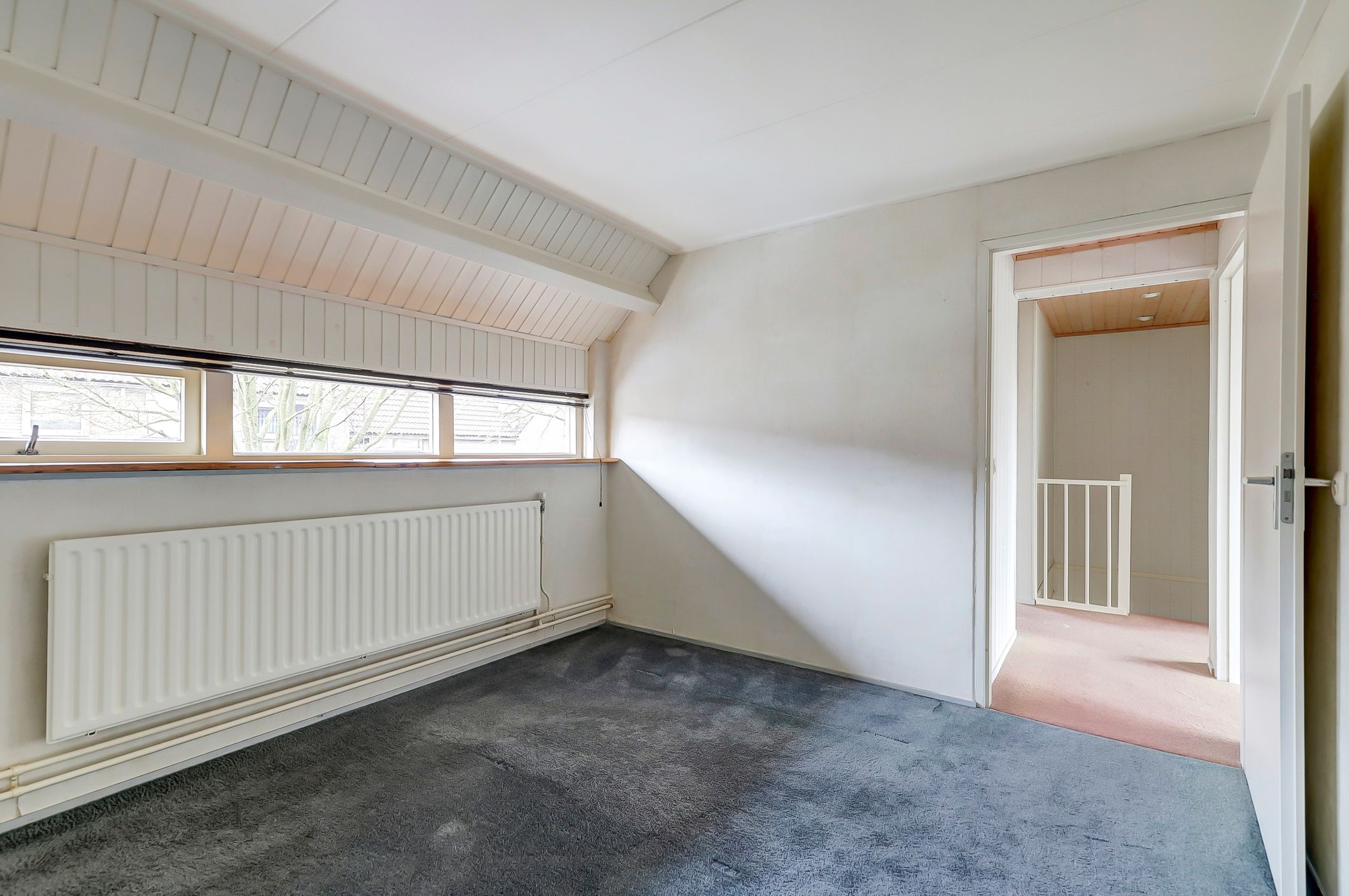 Foto 24 van Pinksterbloem 28