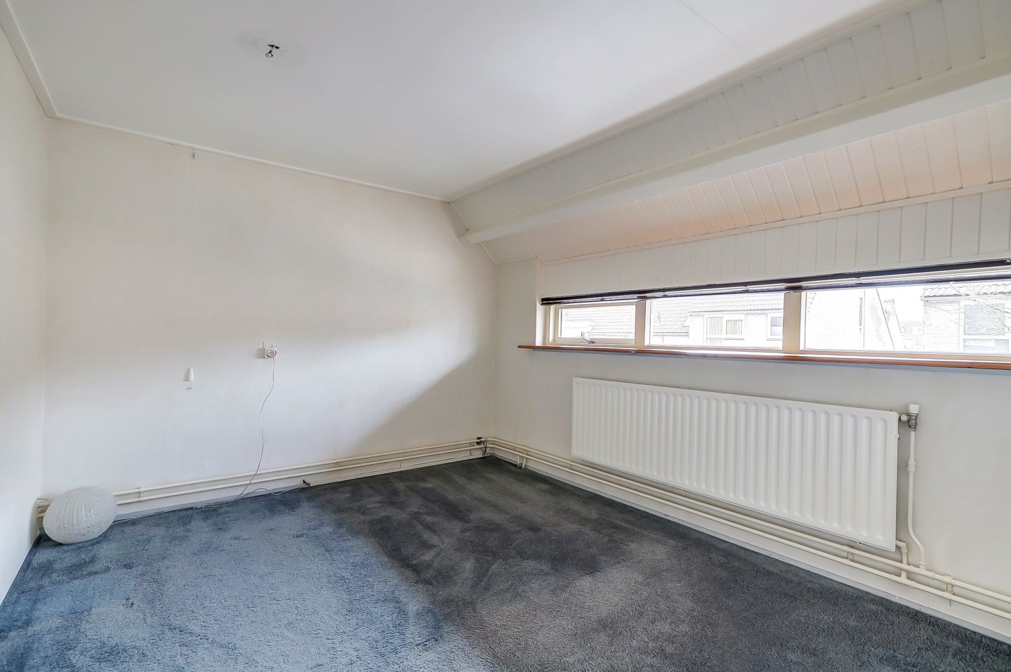 Foto 25 van Pinksterbloem 28