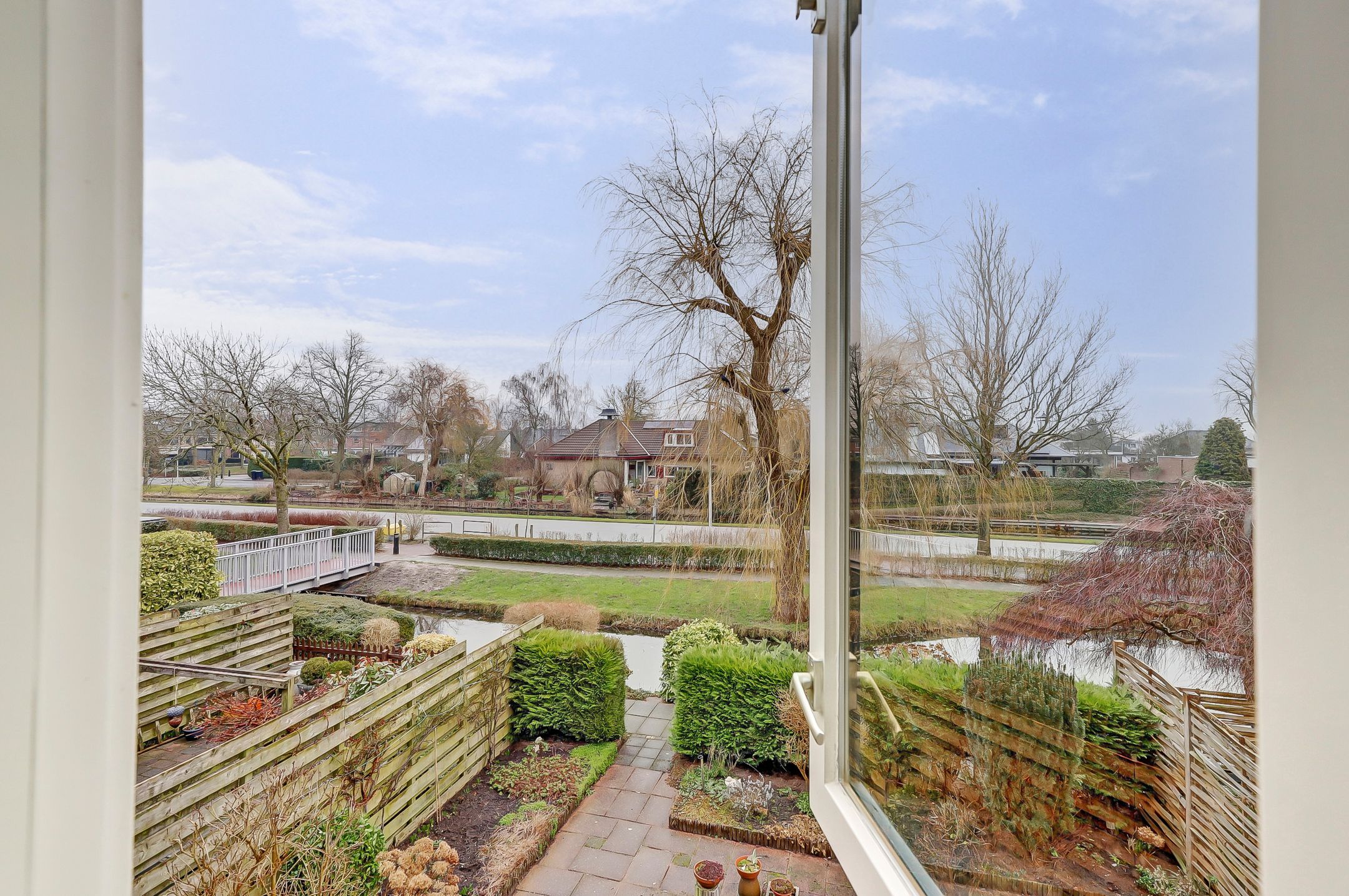 Foto 27 van Pinksterbloem 28