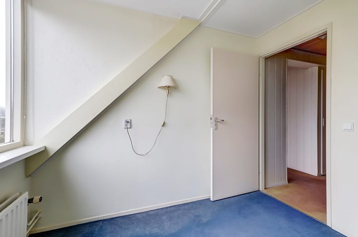 Foto 29 van Pinksterbloem 28