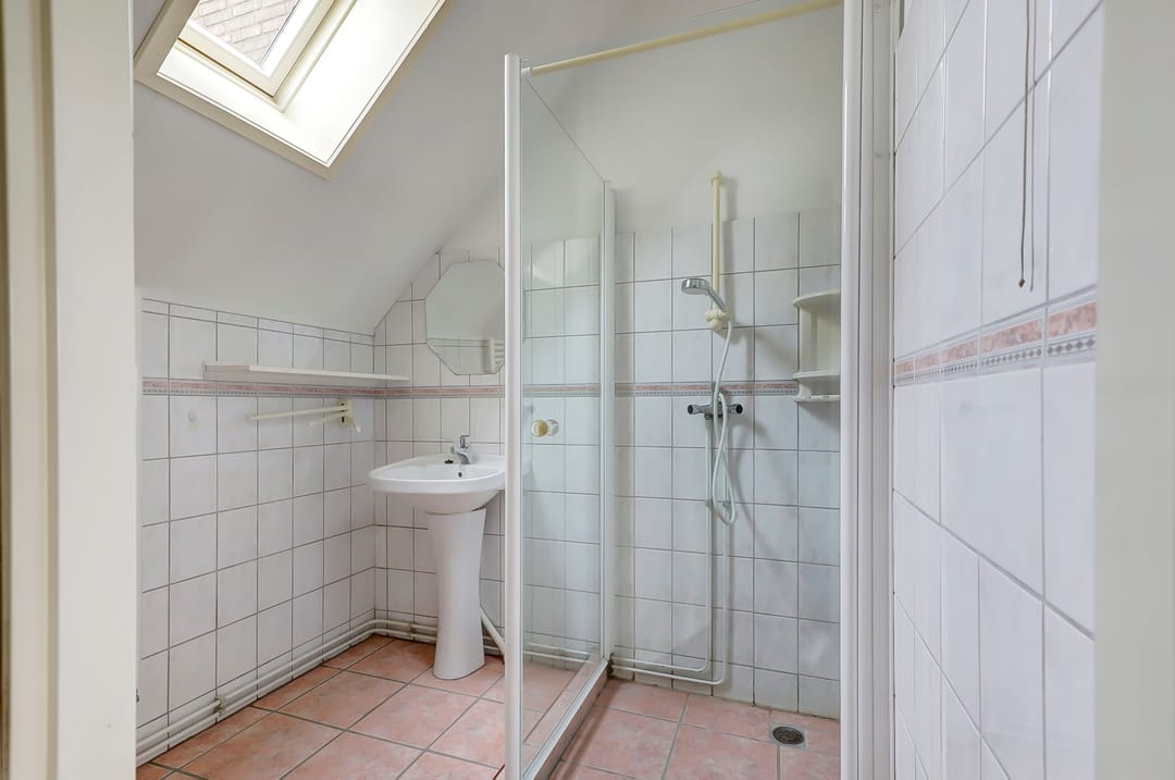 Foto 31 van Pinksterbloem 28