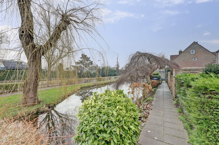 Foto 38 van Pinksterbloem 28