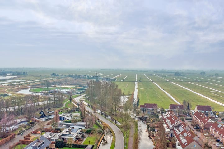 Foto 39 van Pinksterbloem 28