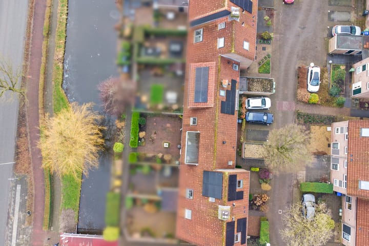 Foto 40 van Pinksterbloem 28