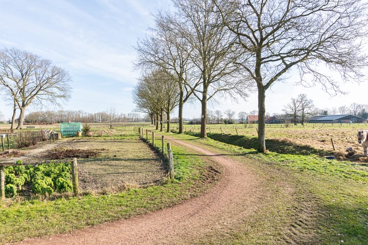 Foto 58 van Saturnusstraat 16