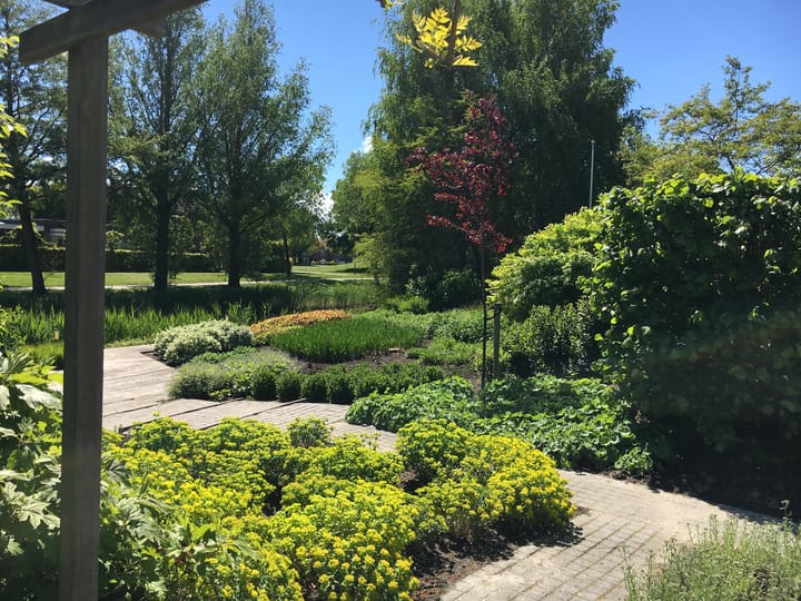 Foto 47 van Zwanenwater 50