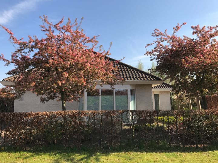 Foto 49 van Zwanenwater 50