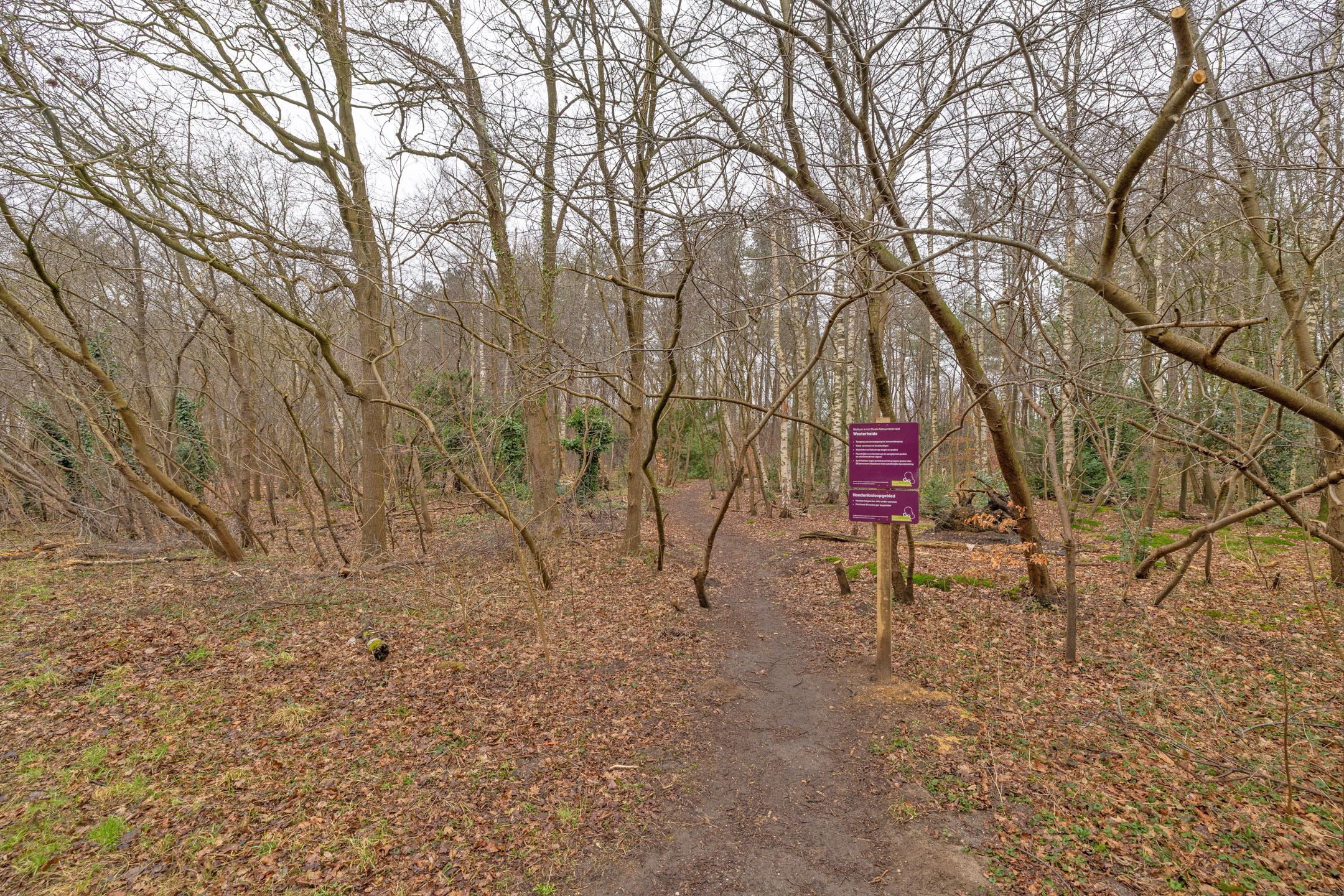 Foto 24 van Erfgooiersstraat 532