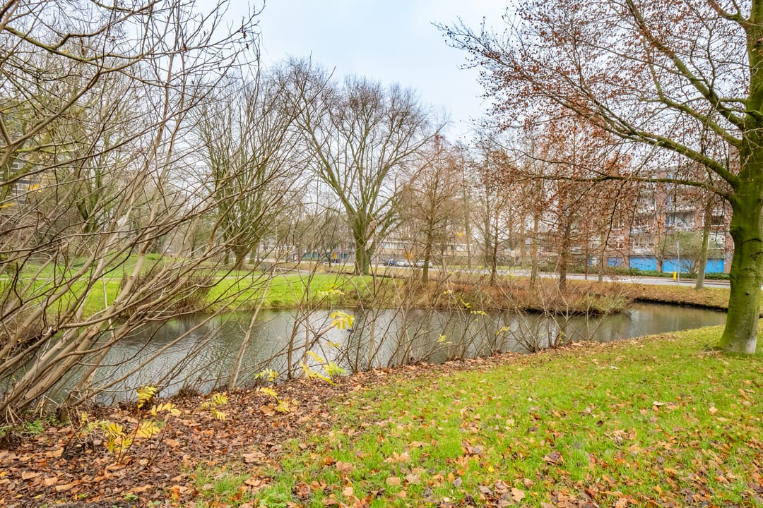 Foto 31 van Richterslaan 49