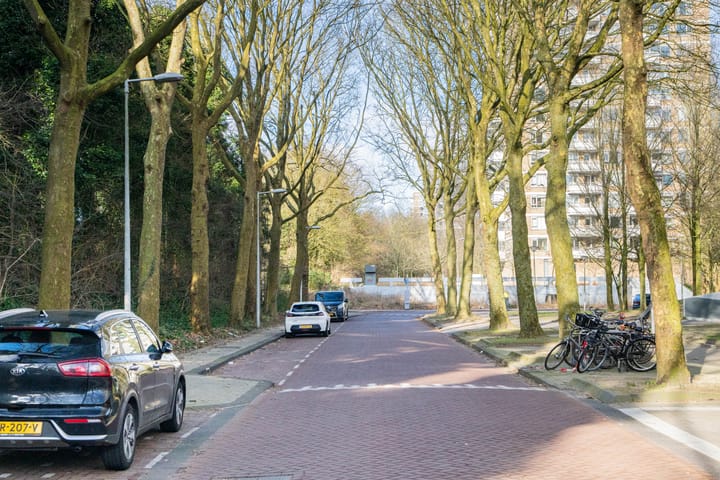 Foto 33 van Nachtwachtlaan 318