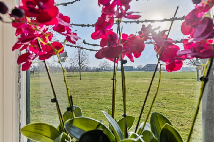 Foto 15 van Meindertweg 1