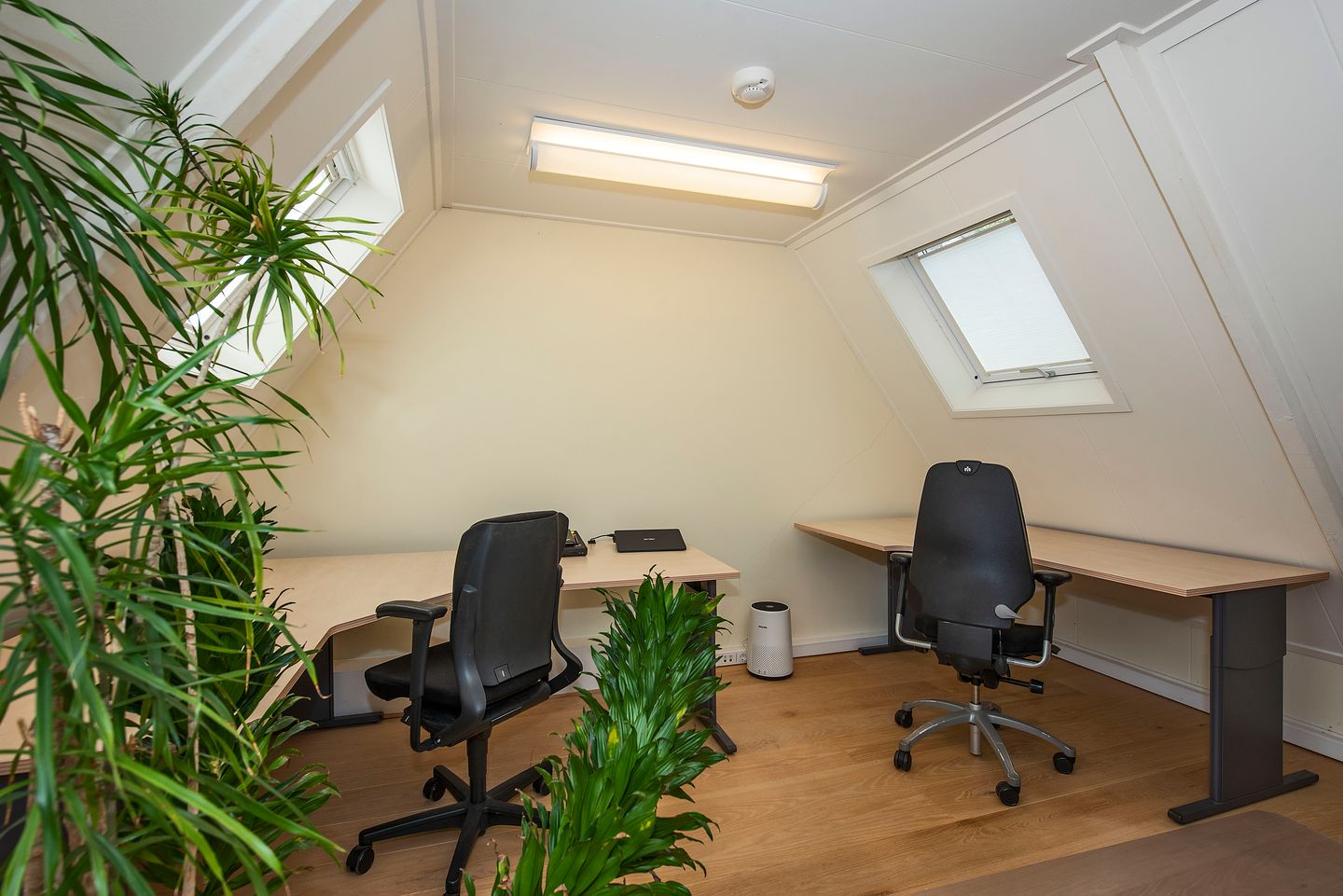 Photo 44 of C.T. Storkstraat 22