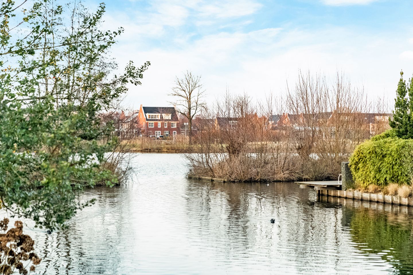 Foto 35 van Zwarte Zee 16