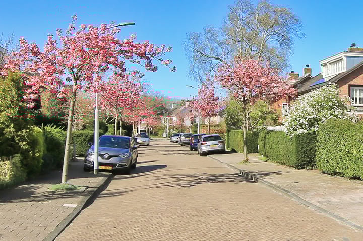 Foto 21 van Parkietstraat 22